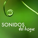 Sonidos de la Naturaleza Star - Cerca del Rio