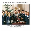 Neues Berliner Kammerorchester Michael… - Concerto grosso in F Minor Op 1 No 8 I Largo II Grave III Vivace IV…