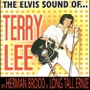 Terry Lee Herman Brood Long Tall Ernie - Sugar Moon