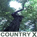Country X - Crooked Tree Boogie