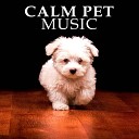 Dog Music - Music for Cat and Dog