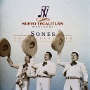 Mariachi Nuevo Tecalitl n - El Son Del Cuatro