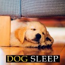Dog Music - Off Sleep Music