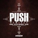 Kronic Far East Movement Savage - Push Ricky Remedy Remix