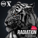 DJ AvRam - RADIATION Vol 5 Track 3 2015 Digital Promo
