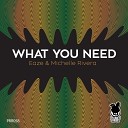Eaze Michelle Rivera - What You Need Original Mix