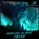 Roberta Gato Vee Groove - Fresh Original Mix