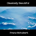 Franz Schubert - Sonata in B flat major D 960 in B Flat Major D960 IV Allegro ma non troppo…