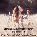 Mindfulness Meditation Music Spa Maestro - Music Box