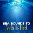 Outside Broadcast Recordings Calm Ocean Sounds Ocean Wave Sounds Ocean Sounds Collection Ocean Waves Ocean Sounds Green… - Rowing Boat at Sea