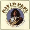 David Peel and The Lower East Side - The Alphabet Song
