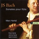 Johann Sebastian Bach - Sonata in G major for Flute and Continuo after BWV 1027 1039 II Allegro ma non…