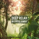 Calm Music Masters - Feel Tropical Vibes