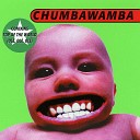 Chumbawamba - The Good Ship Lifestyle