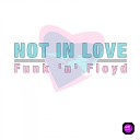 Funk n Floyd - Not in Love Radio Edit