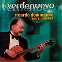 Ricardo Dominguez - A fuego lento