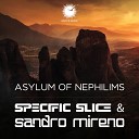 Specific Slice, Sandro Mireno - Asylum of Nephilims (Radio Edit)