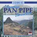 The Blue Mountain Panpipe Ensemble - The Fool On The Hill