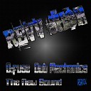 D Fuse Dub Mechanics - The New Sound Original Mix