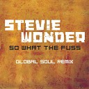 Stevie Wonder - So What The Fuss Global Soul Radio Mix