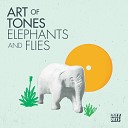 Art Of Tones - The Right Moment