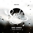 Sho Ando - White Fiesta