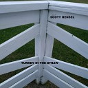 Scott Hensel - Turkey in the Straw