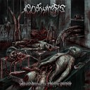Ecchymosis - Perversion Through Stages Of Decomposition