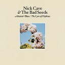 Nick Cave The Bad Seeds - Babe You Turn Me On