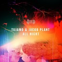 Tujamo Jacob Plant - All Night Original Mix