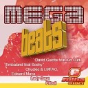 Mixed by Marcelo Guerra - Mega Beats 2010 Megamix
