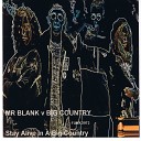 Mr Blank Big Country - Stay Alive in a Big Country Radio Edit
