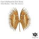 Cari Lekebusch Zoe Xenia - Into The Groove Original Mix