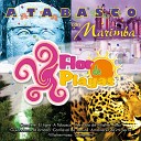 Marimba Flor De Playas - A Tabasco