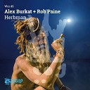 Rob Paine Alex Burkat - Herbman P S 118 Remix