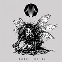 Raubot - What Is Original Mix