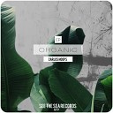 Carlos Hoops - Cultura Techno Original Mix