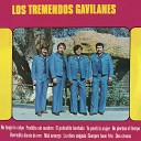 Los Tremendos Gavilanes - Miel Amarga