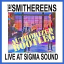 The Smithereens - Time and Time Again Live