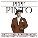 Pepe Pinto - Mi capona Bulerias con Fandangos