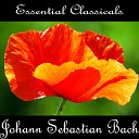 Jeremiah Grahams - Brandenburg Concerto No 3 in G Major BWV 1048 I…