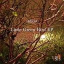 Adjust - Little Green Bird Original Mix
