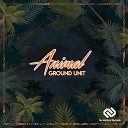 Ground Unit - Animal Original Mix