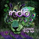 Indio Trance - Real World Original Mix