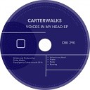 CarterWALKS - Voices In My Head Original Mix