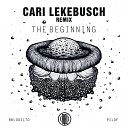 The YellowHeads - The Beginning Cari Lekebusch Remix