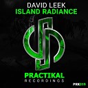 David Leek - Island Radiance Original Mix