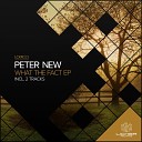 Peter New - What The Fact Original Mix