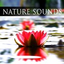 Om Meditation Music Academy - Fresh Air Nature Music