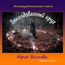 Юрий Волков - Заколдованный круг